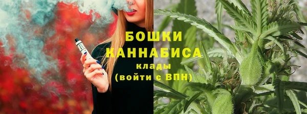 спайс Алексин