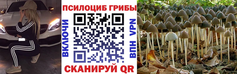 Галлюциногенные грибы мицелий  Нижний Ломов 