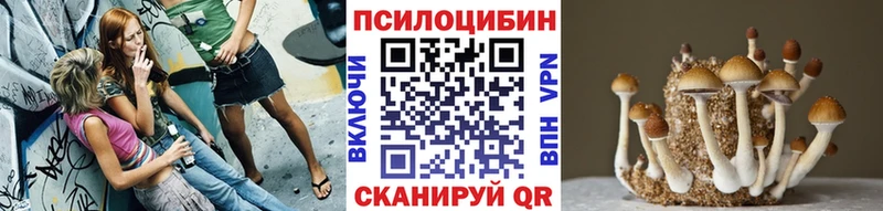 Галлюциногенные грибы Cubensis Нижний Ломов